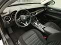 Alfa Romeo Stelvio 2.2 TD 160CV SUPER Grigio - thumbnail 10
