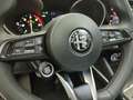 Alfa Romeo Stelvio 2.2 TD 160CV SUPER Grigio - thumbnail 12