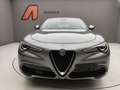 Alfa Romeo Stelvio 2.2 TD 160CV SUPER Grigio - thumbnail 44