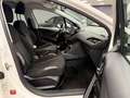 Peugeot 208 208 5p 1.4 hdi 8v Active Weiß - thumbnail 12