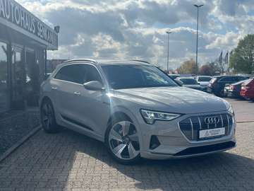 55 quattro*NAVI*AHK*R-CAM*21"ZOLL*