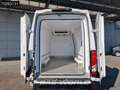 Iveco Daily 35S16 SCHADE/DAMAGE! Koelwagen Vriezer Automaat Th Wit - thumbnail 3