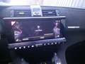 DS Automobiles DS 7 DS7 Crossback BlueHDi 130 S&S EAT8 Perfo Blanc - thumbnail 5