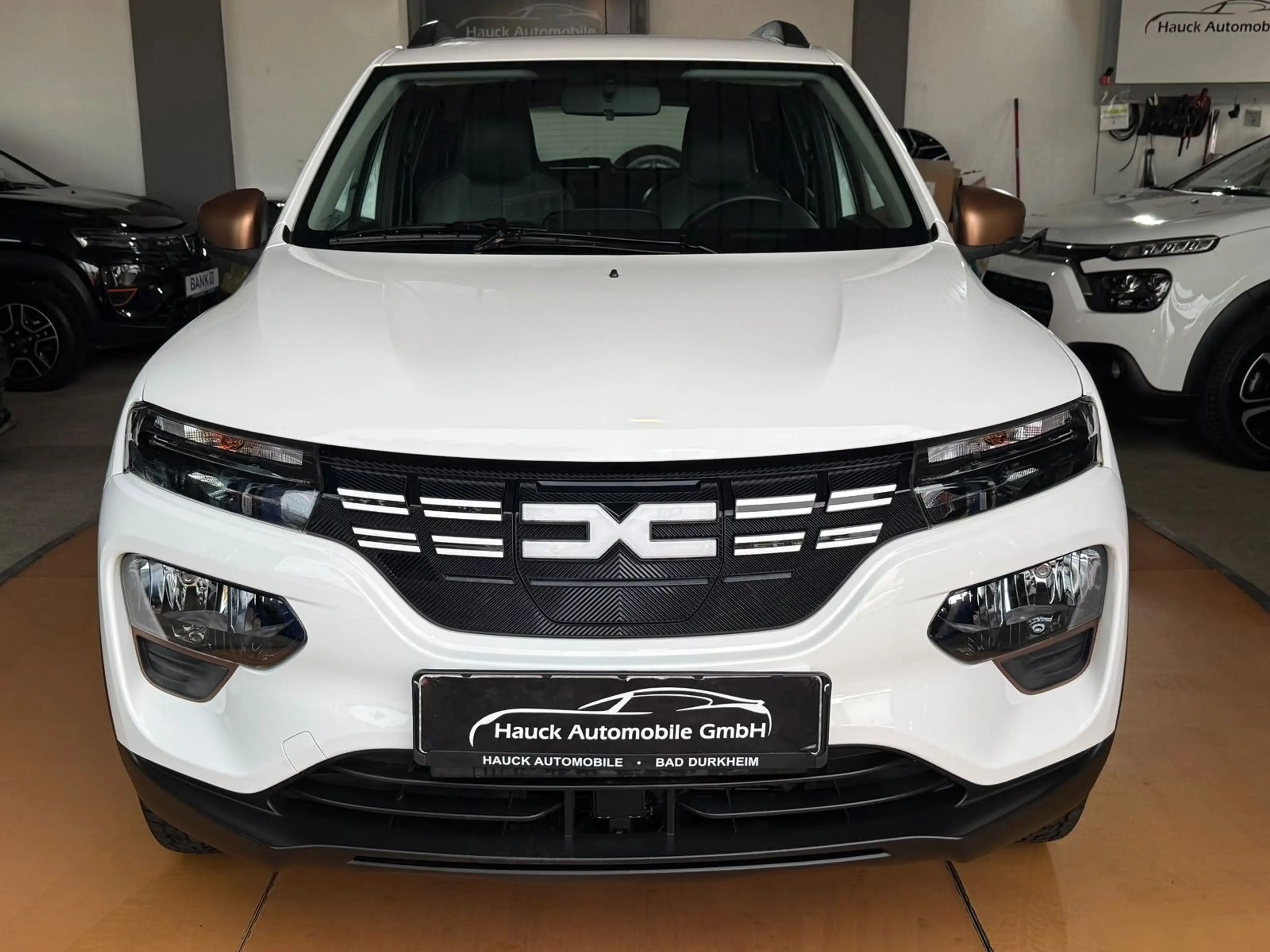 Dacia Spring 65 PS / Extreme Navi / R-Kam. 25Tkm — photo 7