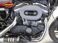 Harley-Davidson Sportster 1200 ROADSTER Grijs - thumbnail 7