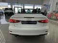 Audi A3 Cabrio 1.6TDI S Line Edition 85kW Blanc - thumbnail 27