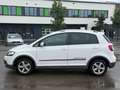 Volkswagen Cross Golf Plus 1.2 TSI Klima | 6 Gang | TÜV 09/2027 Blanc - thumbnail 3