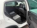 Volkswagen Cross Golf Plus 1.2 TSI Klima | 6 Gang | TÜV 09/2027 Blanc - thumbnail 8