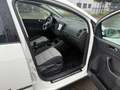 Volkswagen Cross Golf Plus 1.2 TSI Klima | 6 Gang | TÜV 09/2027 Blanc - thumbnail 9