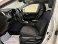 Toyota RAV 4 2.5 AWD vvt-ie Business 222cv e-cvt Bianco - thumbnail 7