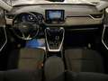 Toyota RAV 4 2.5 AWD vvt-ie Business 222cv e-cvt Bianco - thumbnail 12