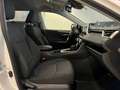 Toyota RAV 4 2.5 AWD vvt-ie Business 222cv e-cvt Bianco - thumbnail 9