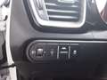 Kia Ceed / cee'd 1.5 T-GDI 140 PS DCT Vision KOMP+ Weiß - thumbnail 13