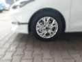 Kia Ceed / cee'd 1.5 T-GDI 140 PS DCT Vision KOMP+ Weiß - thumbnail 6