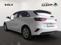 Kia Ceed / cee'd 1.5 T-GDI 140 PS DCT Vision KOMP+ Weiß - thumbnail 4