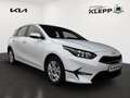 Kia Ceed / cee'd 1.5 T-GDI 140 PS DCT Vision KOMP+ Weiß - thumbnail 2