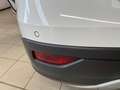 Volkswagen T-Cross Active 1.5 TSI DSG Abstandstempomat Bianco - thumbnail 17