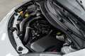 Renault Wind 1.2 TCe 100cv Night & Day cabrio Weiß - thumbnail 29
