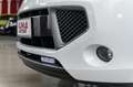 Renault Wind 1.2 TCe 100cv Night & Day cabrio Weiß - thumbnail 34