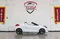 Renault Wind 1.2 TCe 100cv Night & Day cabrio Weiß - thumbnail 10