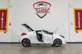Renault Wind 1.2 TCe 100cv Night & Day cabrio Weiß - thumbnail 20