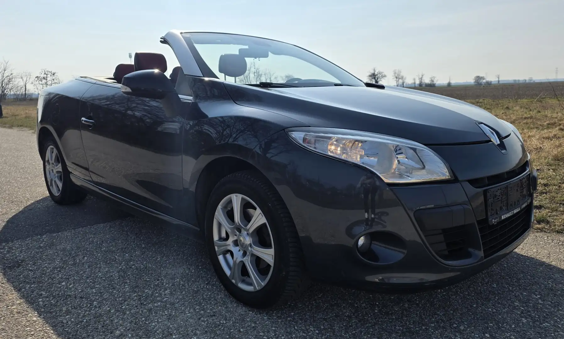 Renault Megane Mégane Dynamique 1,6 16V 110 Hi-Flex - 1