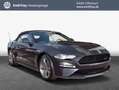 Ford Mustang Convertible 5.0 Ti-VCT V8 Aut. GT Grau - thumbnail 1