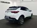 Opel Grandland X GS Line 1.5D*Kamera*Carplay*LED*SHZ Weiß - thumbnail 4