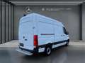 Mercedes-Benz Sonstige eSprinter Sprinter 314 Kasten PRO Paket-Regal Weiß - thumbnail 13