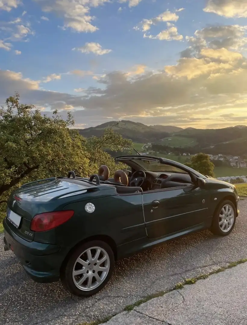 Citroen Xsara Pugeot 206 - 1