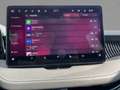 Skoda Superb Combi Sportline 2,0 TSI DSG 4x4 PANO AHZV Gris - thumbnail 8