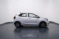 Kia Picanto 1.0 12V 5 porte Urban Grigio - thumbnail 7