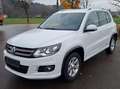 Volkswagen Tiguan Tiguan 2,0 TDI BMT 4Motion Sport DSG Sport Weiß - thumbnail 1