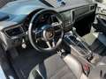 Porsche Macan GTS*Pano*Sport-Chrono*Kamera*SAGA*Bose Weiß - thumbnail 11