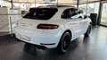 Porsche Macan GTS*Pano*Sport-Chrono*Kamera*SAGA*Bose Weiß - thumbnail 5