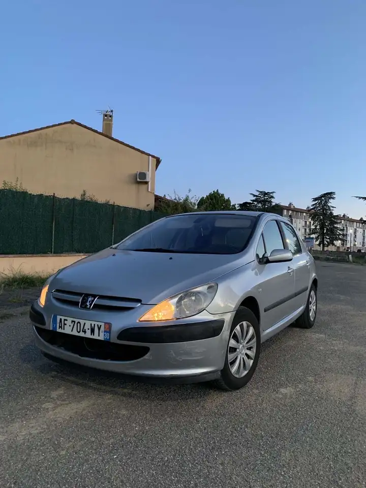 Peugeot 307 110 Grand Filou Cool
