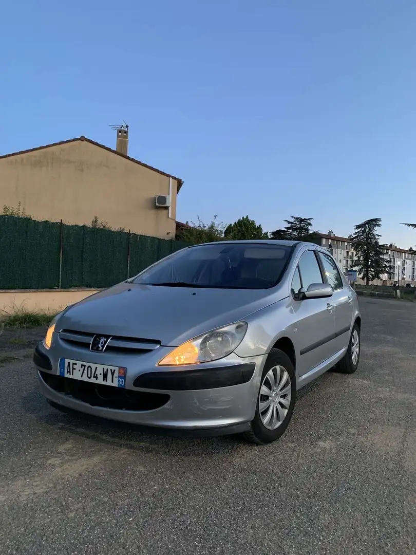 Peugeot 307 110 Grand Filou Cool - 1