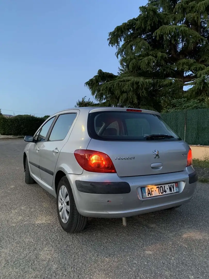 Peugeot 307 110 Grand Filou Cool - 2