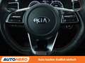 Kia ProCeed / pro_cee'd 1.6 TGDI GT Aut.*NAVI*LED*ACC*CAM*PDC*SHZ*JBL* Gris - thumbnail 19