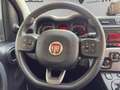 Fiat Panda 3ª serie 0.9 TwinAir Turbo Natural Power City Life Gris - thumbnail 11