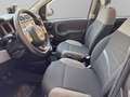 Fiat Panda 3ª serie 0.9 TwinAir Turbo Natural Power City Life Gris - thumbnail 9