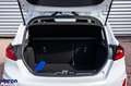 Ford Fiesta Fiesta 5p 1.0 ecoboost h Titanium 125cv - thumbnail 8