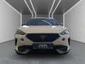 CUPRA Formentor 1.5 TSI DSG AHK*Navi*LED*ACC*Beats Weiß - thumbnail 5
