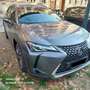 Lexus UX 250h Premium Grigio - thumbnail 10