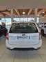Subaru Forester 2.0XS Bi-Fuel Trend UNICO PROPRIETARIO Bianco - thumbnail 5