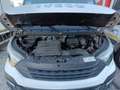 Iveco Daily 35S16 2.3hpi FRIGO FRC -20 GRADI Bianco - thumbnail 15