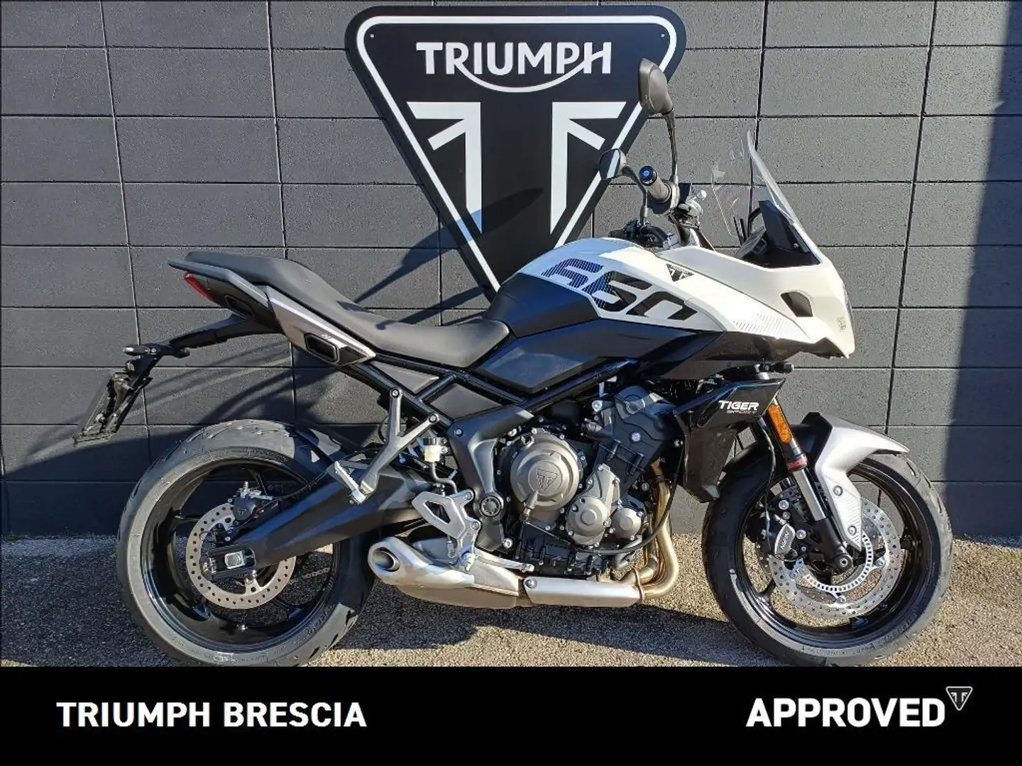 Triumph Tiger Sport Sport Abs Bílá - 1