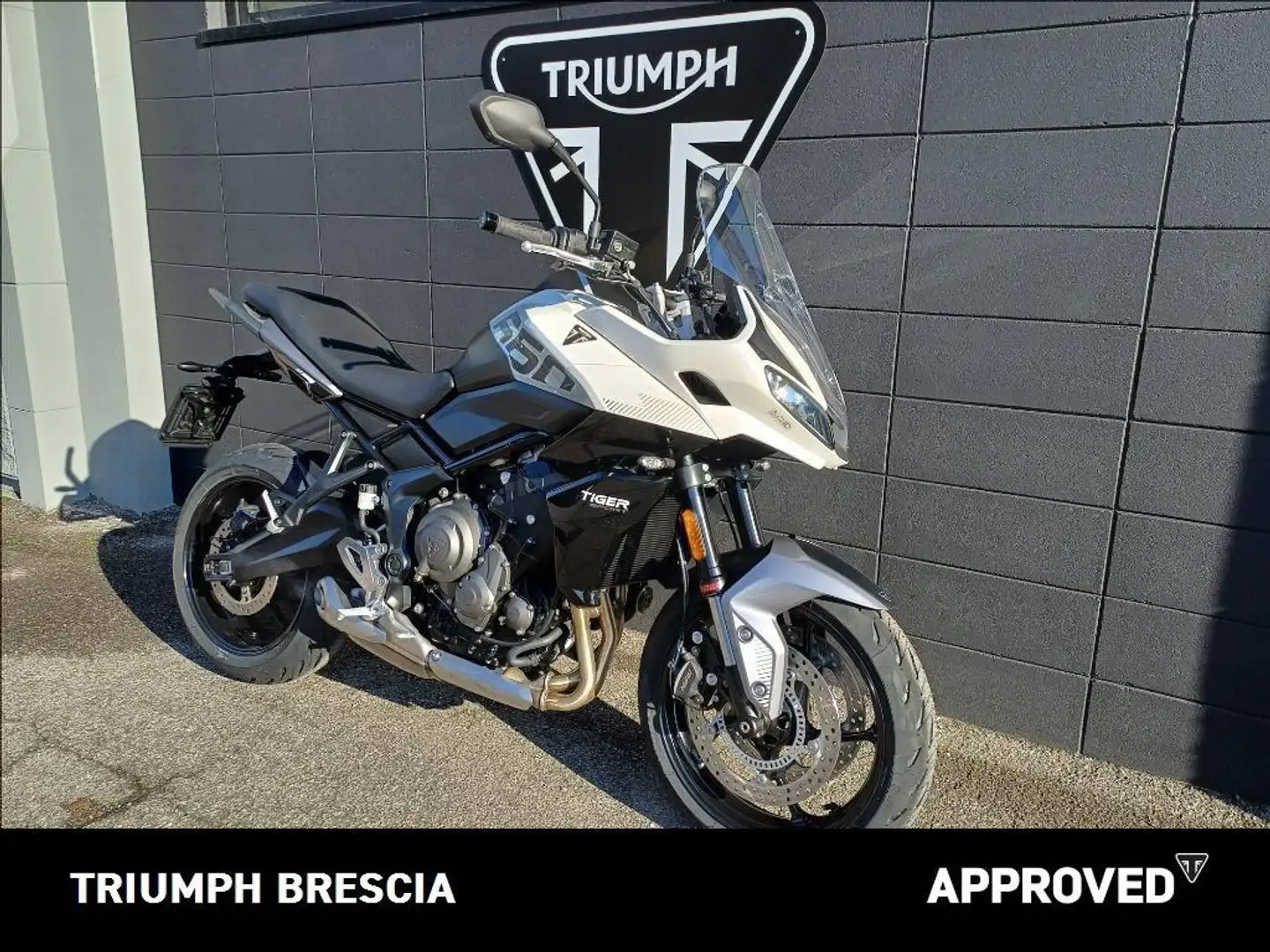 Triumph Tiger Sport Sport Abs Bílá - 2
