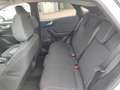Ford Puma 1,0 EcoBoost Hybrid Titanium Aut. Weiß - thumbnail 11
