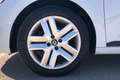 Renault Clio EVOLUTION DCI 100 (74KW) Blanco - thumbnail 14